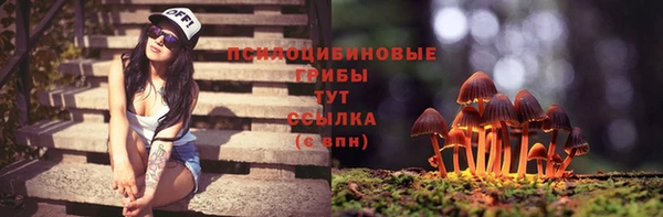 крисы Алзамай