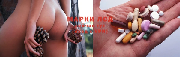 крисы Алзамай