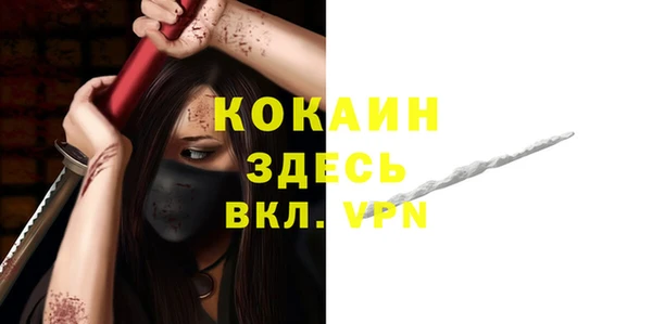 крисы Алзамай