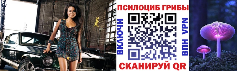 Псилоцибиновые грибы мицелий  ОМГ ОМГ онион  Урюпинск 